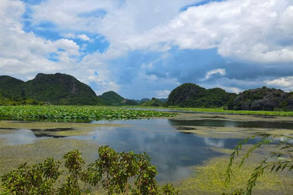 普者黑天鹅湖旅游攻略 普者黑天鹅湖门票-开放时间-介绍-交通-地址